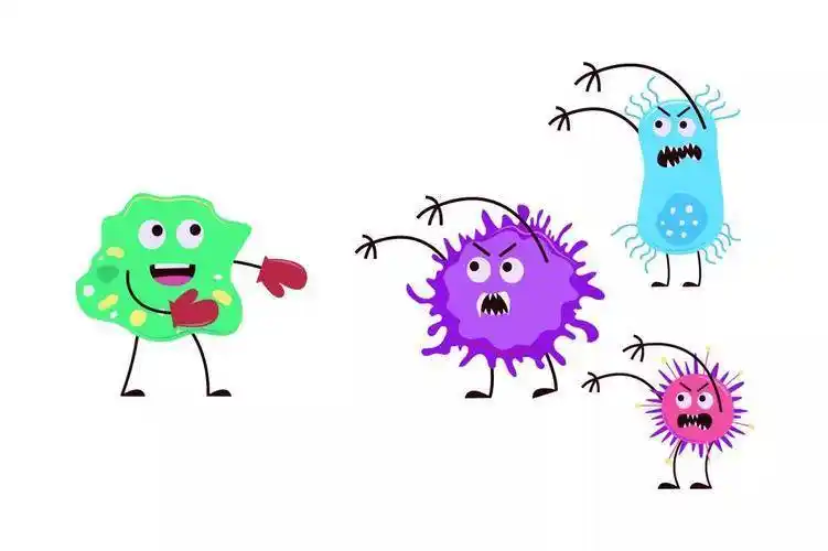 细菌简笔画 细菌简笔画图片