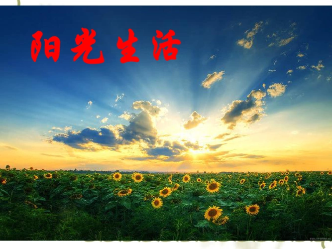 21让生活充满阳光课件19张ppt