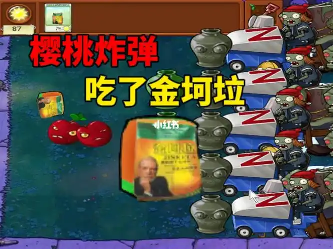 植物大战僵尸樱桃炸弹吃包金坷垃