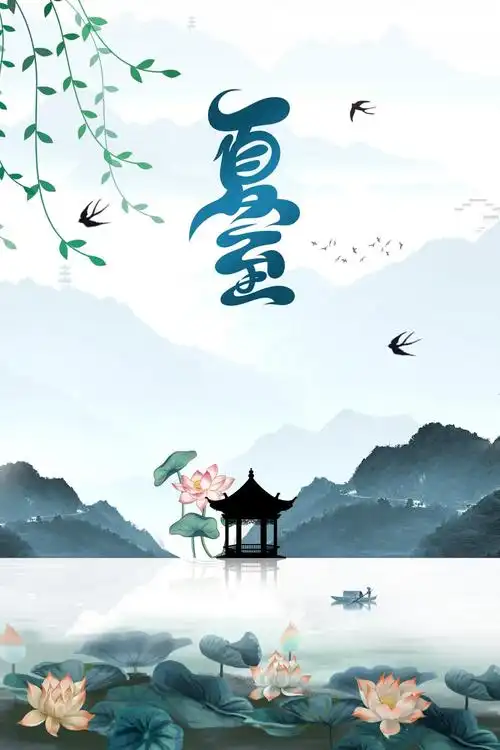 简约中国风夏至节气宣传海报