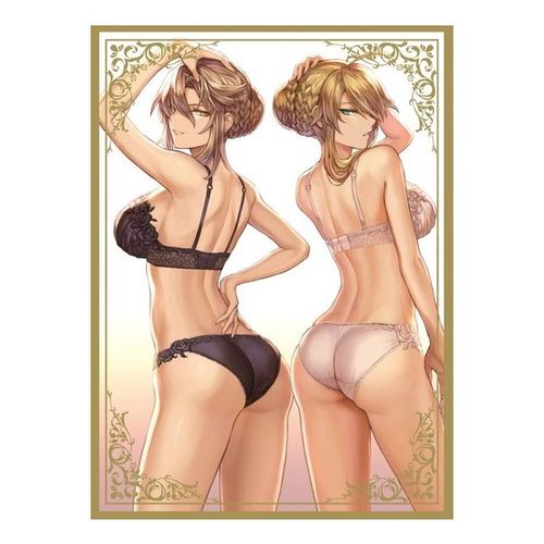 动漫妹套fatefgosaber枪呆内衣c95限定卡套桌游配件