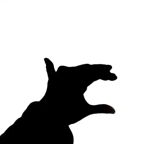 我们的影子之约—小一班"停电的故事"光与影游戏