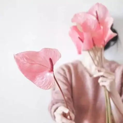 适合女人微信头像的花 - 搜狗图片搜索