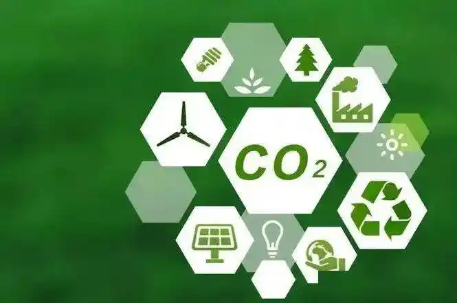 「碳排放」胡蓉:海南与香港合作助力国际碳排放权交易中心发展