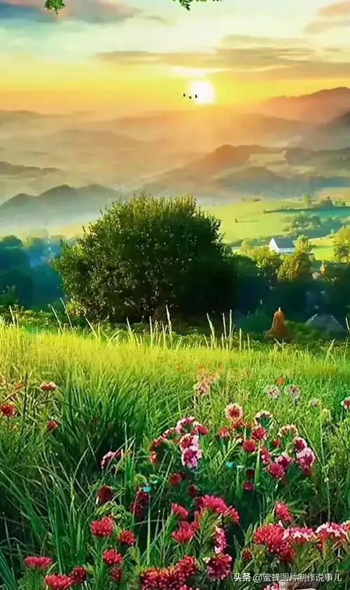 壁纸美图,大自然美景,如诗如画_网易订阅