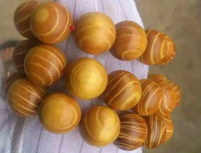 第二种就是有着"黄金木"之称的柘木,柘树在我国农村非常常见,从华北到