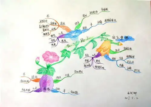 喇叭花思维导图