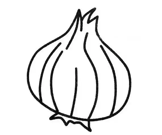 洋葱简笔画 洋葱简笔画简单