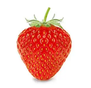 白底草莓壁纸图片