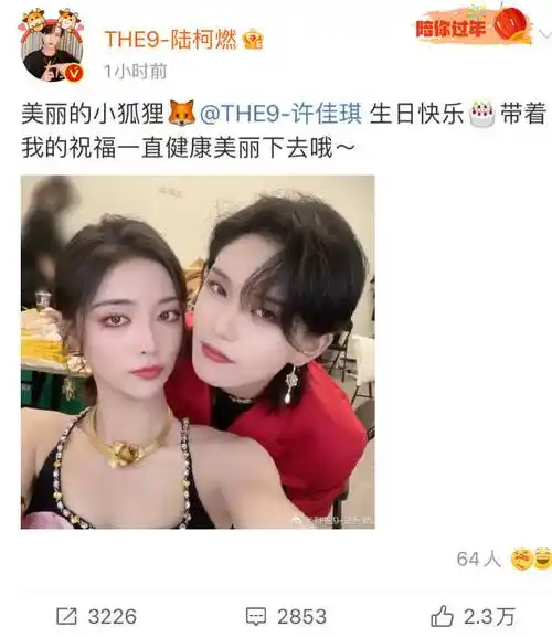 the9全员为许佳琪庆生#又是被the9成员们之间的感情流泪的一天,组员