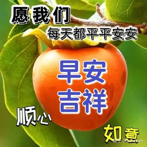 美好暖心的早安正能量问候语,清晨很温馨的早上好祝福图片 - 知乎