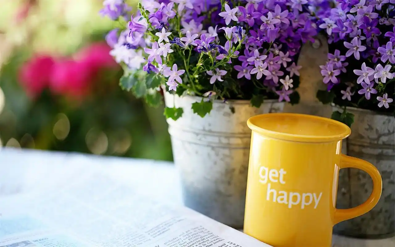 唯美清新杯子艺术摄影高清桌面壁纸图片第二辑