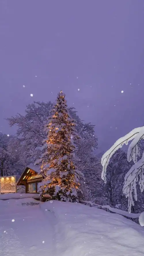 梦幻唯美冬日雪景图片手机壁纸