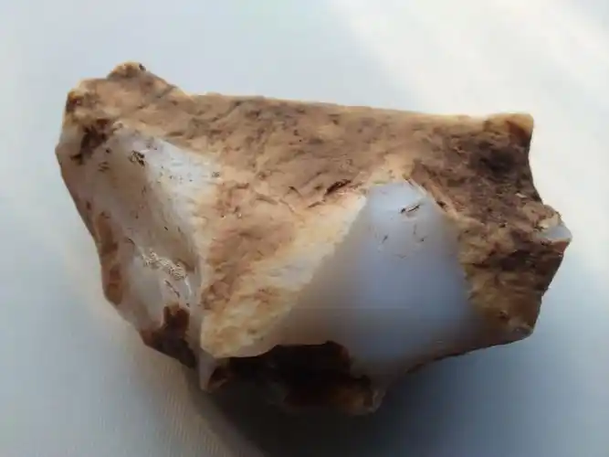 蛋白石(23) - powered by discuz!