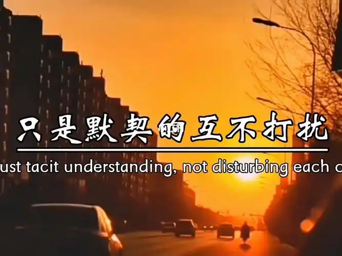 你不联系我我也没有打扰你