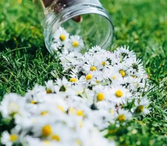 原创清晨致自己的摘抄短句唯美青春励志阳光