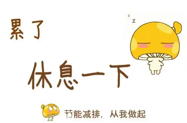 宰第四天:在家看酒店涨价第三天:在家看第二天:在家看景区排队第一天