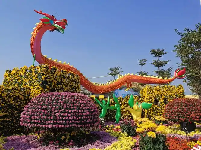 2019年小榄菊花会