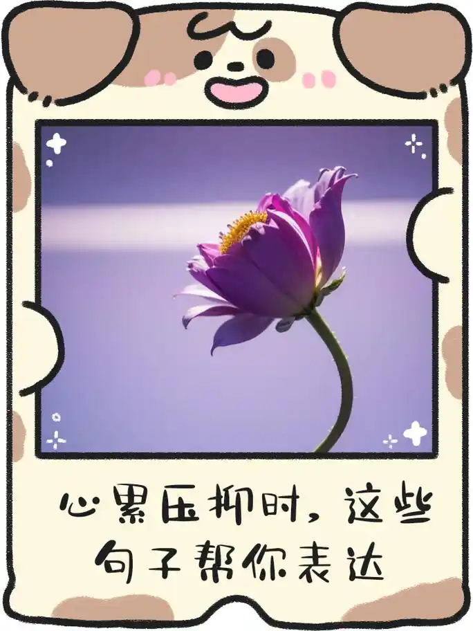 心累之时, 无需多言, 沉默是最好的疗愈 2.