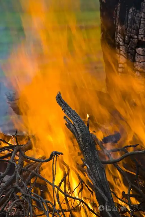 熊熊的篝火的火焰