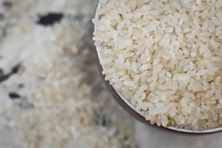 豫福原阳大米胚芽10斤家庭儿童成人皆可可食用胚芽米