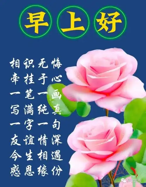 今天最新早安温馨问候语图片最美早安祝福语问候图片