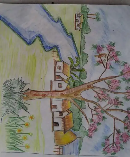 马灌小学六年级4班创新作业之"春天来了"