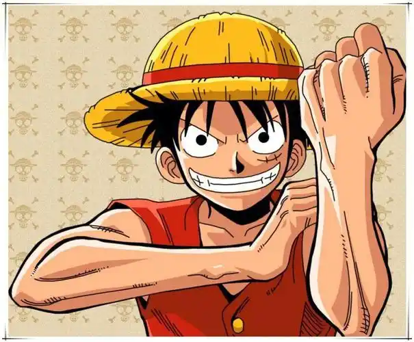 我是路飞将要成为海贼王的男人