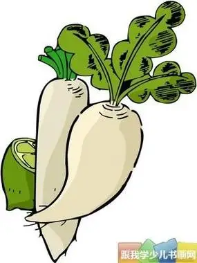 白萝卜根简笔画 简笔画图片大全-普车都