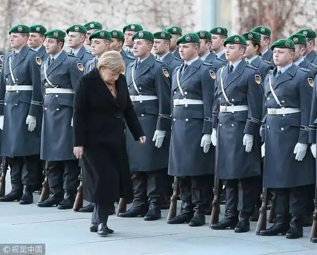 德国总理默克尔与来访的利比亚总理会面