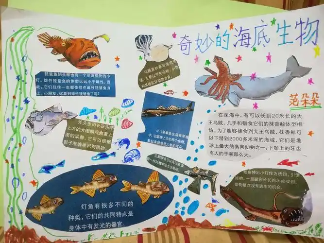 南京路小学二年级三班海洋主题手抄报