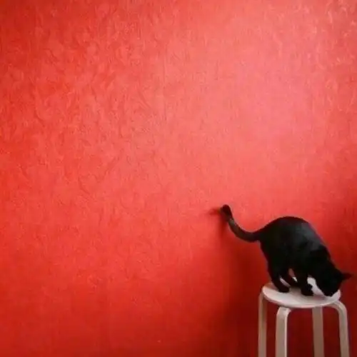 分享一波红色系背景图