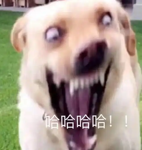 是挺癫狂↑        33#        34#        楼上表情包可爱