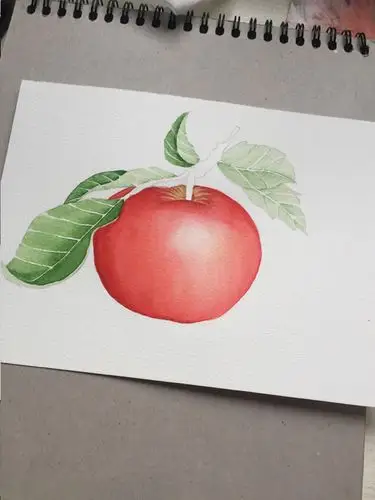 水彩教程|瞧这颗红苹果,想不想来上一口