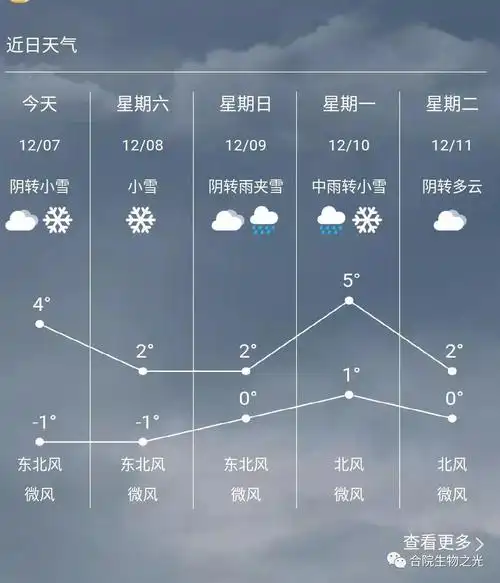 确认过眼神,是我想看到的天气预报