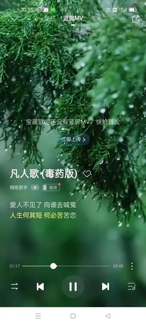 爱过的人我已不再拥有是什么歌歌词爱过的人我已不再拥有是什么歌