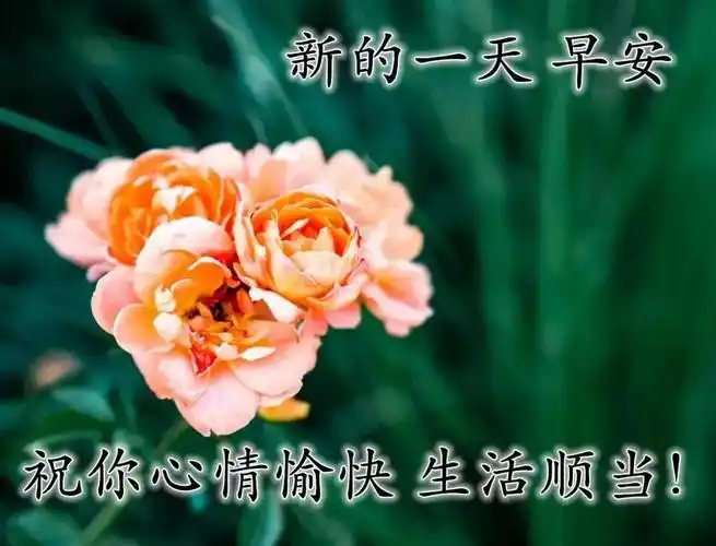 8张特别漂亮的早上好免打字图片带祝福语2021秋日温馨