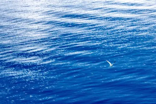 蓝水蓝蓝天蓝蓝