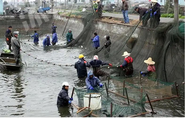 拉网渔网抬网隔断网搬筝鱼网养殖网箱虎口网 高1米宽6米尾长3米