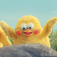 最新鹦鹉兄弟表情包gif 无水印