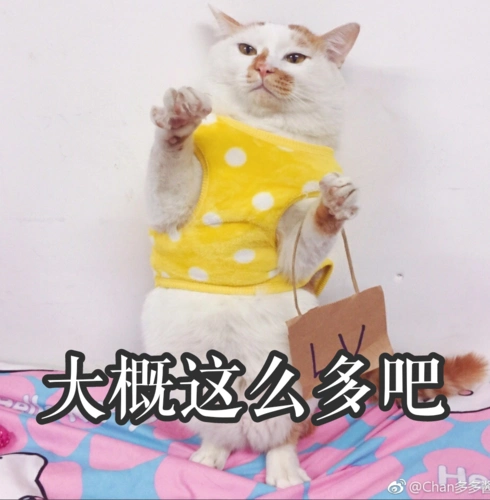 猫咪多多猫咪表情包