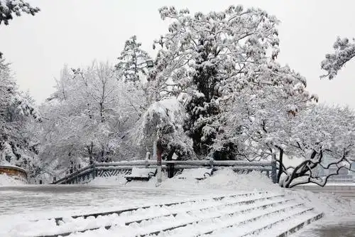 雪景2021年2月14日望溪公园