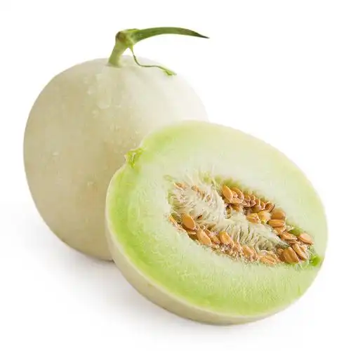 苏宁生鲜上海南汇玉菇甜瓜1个900g以上个