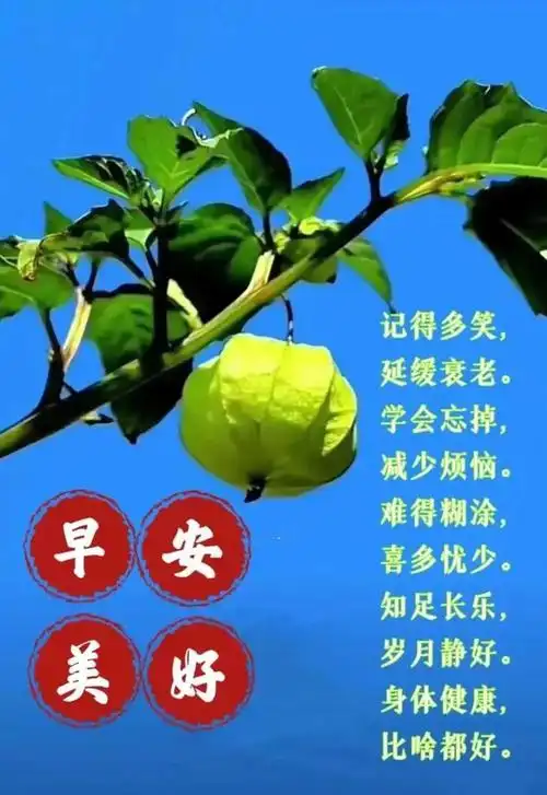 7月28日周五早上好周五早安祝福图片带早上好问候语新的一天吉祥如意