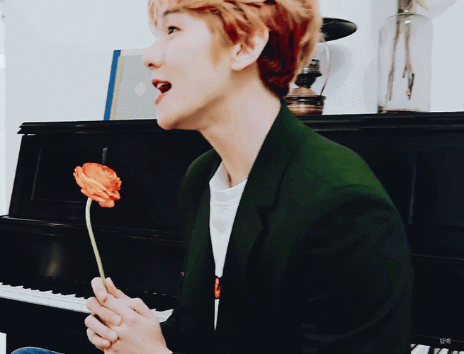 边伯贤gif侧脸gif鲜花gif微笑gif