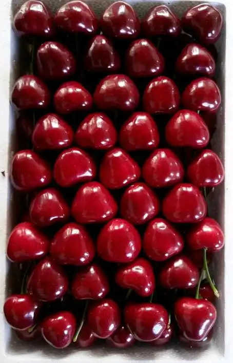 国货之光——国产美早樱桃抢鲜上市-行业新闻-水果保鲜丨专业水果蔬菜