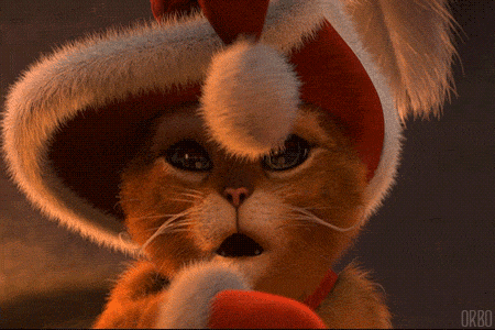 可爱 搞笑 猫咪 摇晃