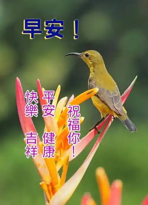 9张秋日有创意早上好免打字图片带祝福语 2021秋日温馨的早上好问候语