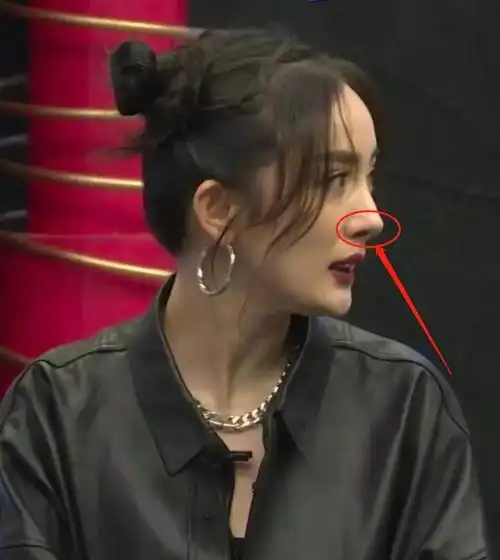 杨幂侧脸,杨幂侧脸的图片-天晟网