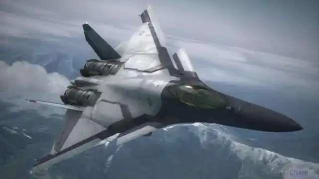 被称为空中杀手,连战斗机都害怕,却是这个最常见的生物